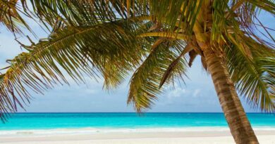 Sujuku island: an emerging tourist destination